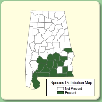 Species Distribution Map