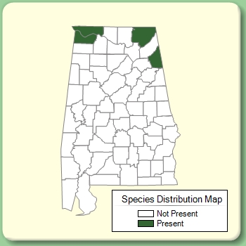 Species Distribution Map