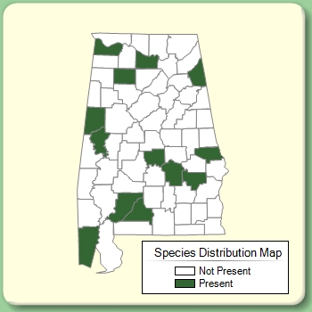 Species Distribution Map