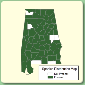 Species Distribution Map