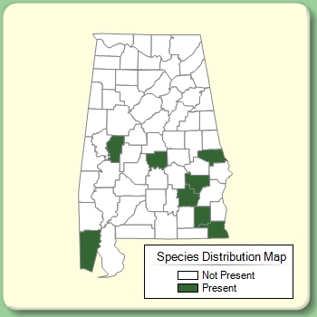 Species Distribution Map