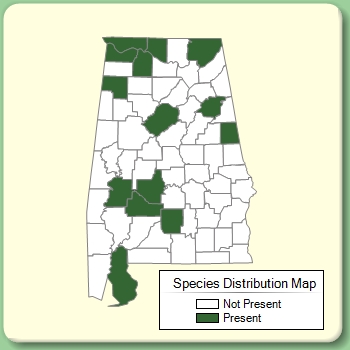 Species Distribution Map