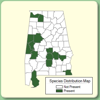 Species Distribution Map