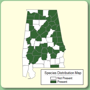 Species Distribution Map