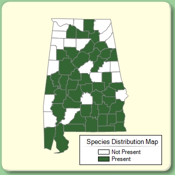 Species Distribution Map