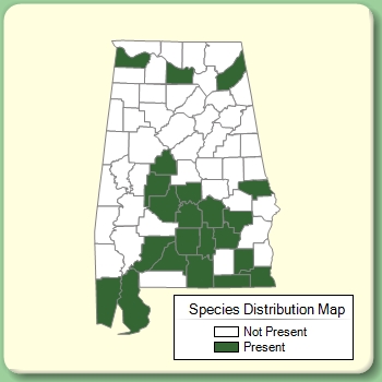 Species Distribution Map