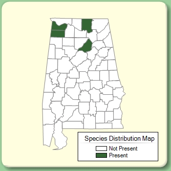 Species Distribution Map