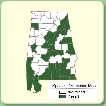 Species Distribution Map