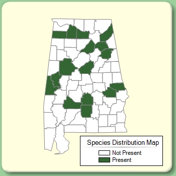 Species Distribution Map