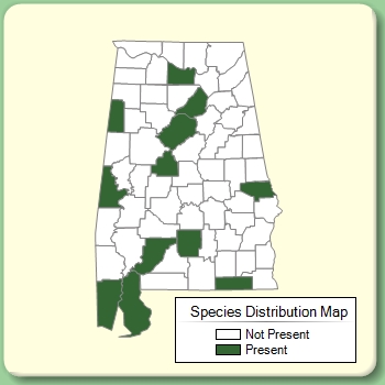 Species Distribution Map