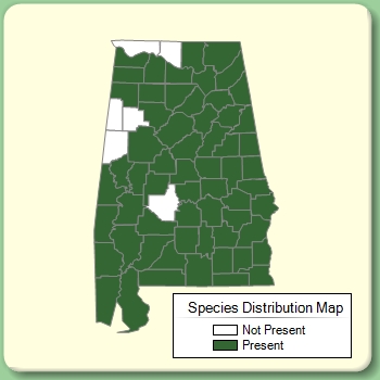 Species Distribution Map