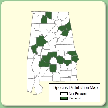 Species Distribution Map