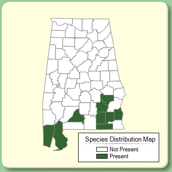 Species Distribution Map