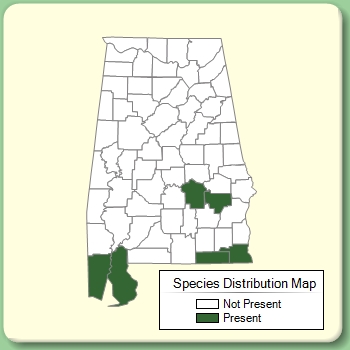 Species Distribution Map