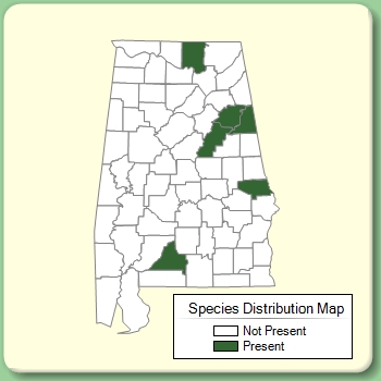 Species Distribution Map