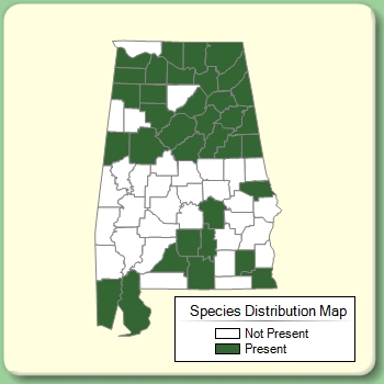 Species Distribution Map