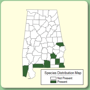 Species Distribution Map