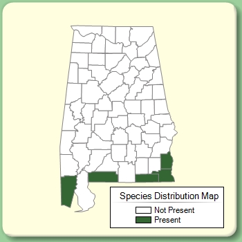 Species Distribution Map