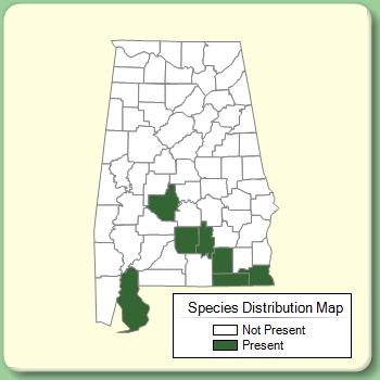 Species Distribution Map