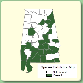 Species Distribution Map