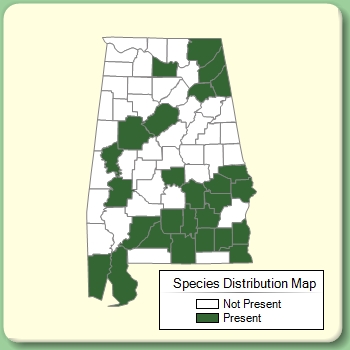 Species Distribution Map