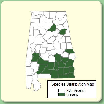 Species Distribution Map