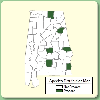 Species Distribution Map