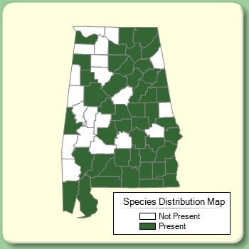 Species Distribution Map