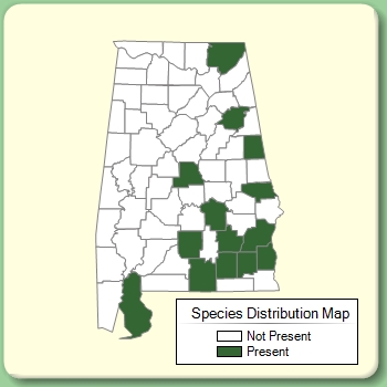 Species Distribution Map