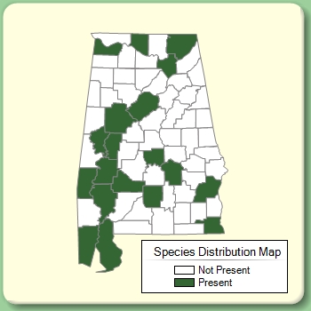 Species Distribution Map