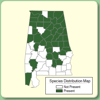 Species Distribution Map