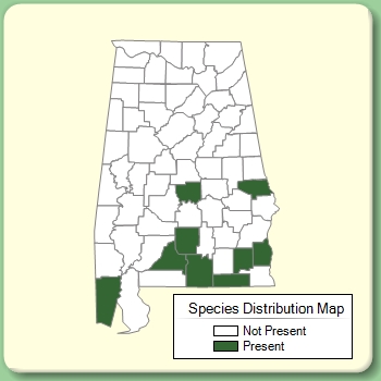 Species Distribution Map