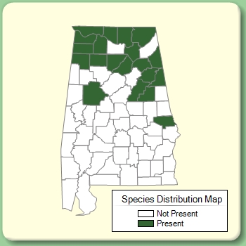 Species Distribution Map