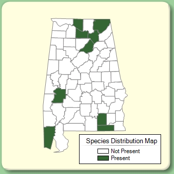 Species Distribution Map