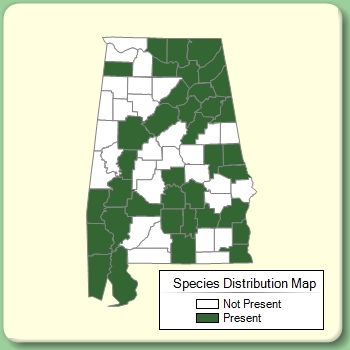 Species Distribution Map