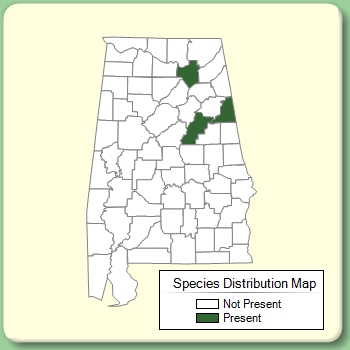 Species Distribution Map