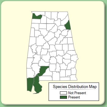 Species Distribution Map