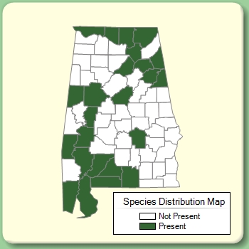 Species Distribution Map