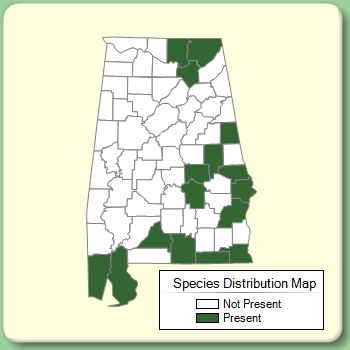 Species Distribution Map