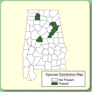 Species Distribution Map