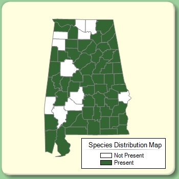 Species Distribution Map