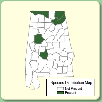 Species Distribution Map