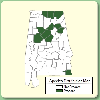 Species Distribution Map