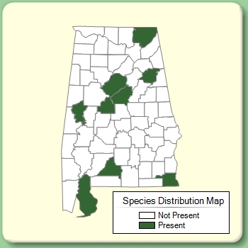 Species Distribution Map