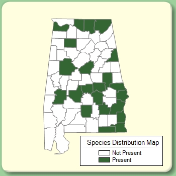 Species Distribution Map