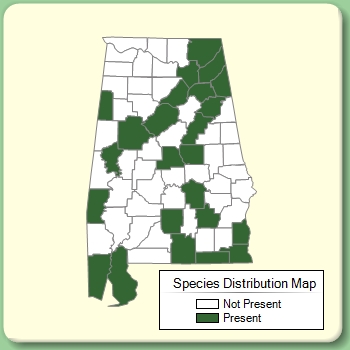 Species Distribution Map