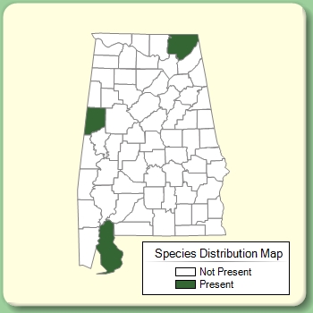 Species Distribution Map