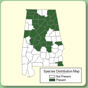 Species Distribution Map