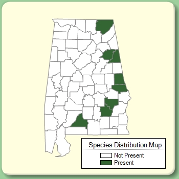 Species Distribution Map