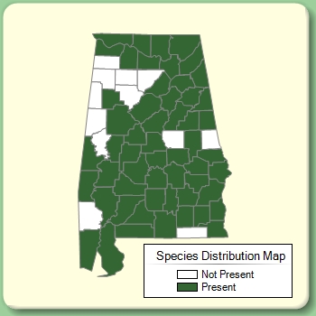 Species Distribution Map